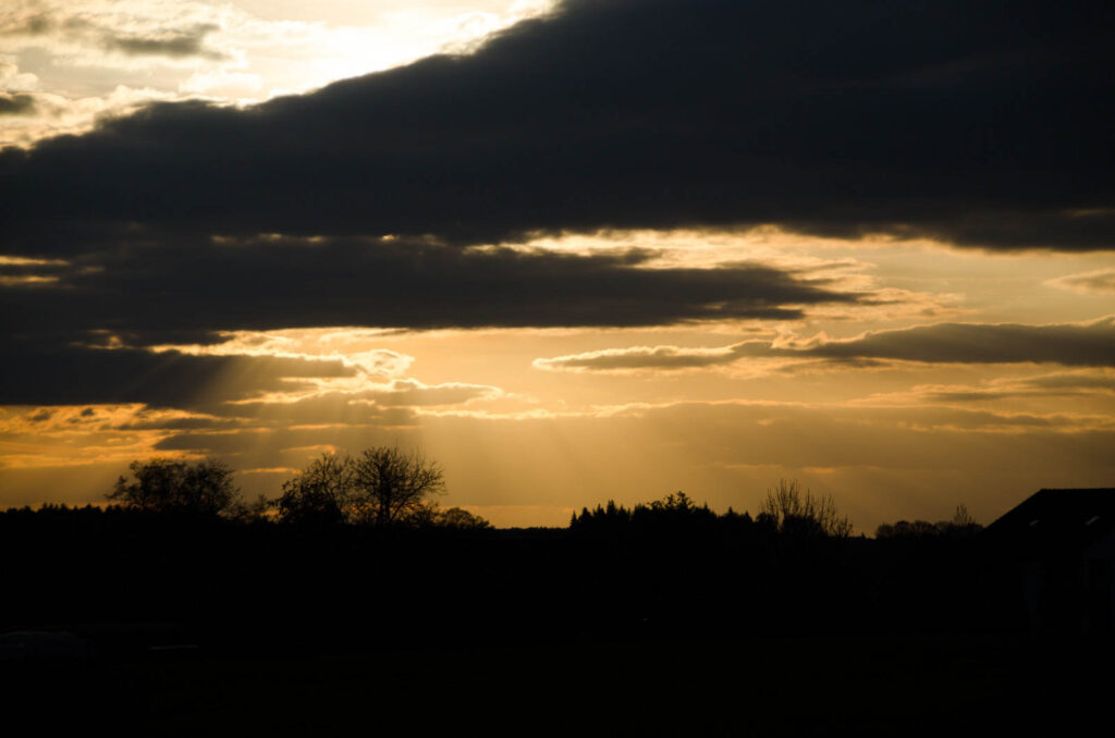 Sunset Walk