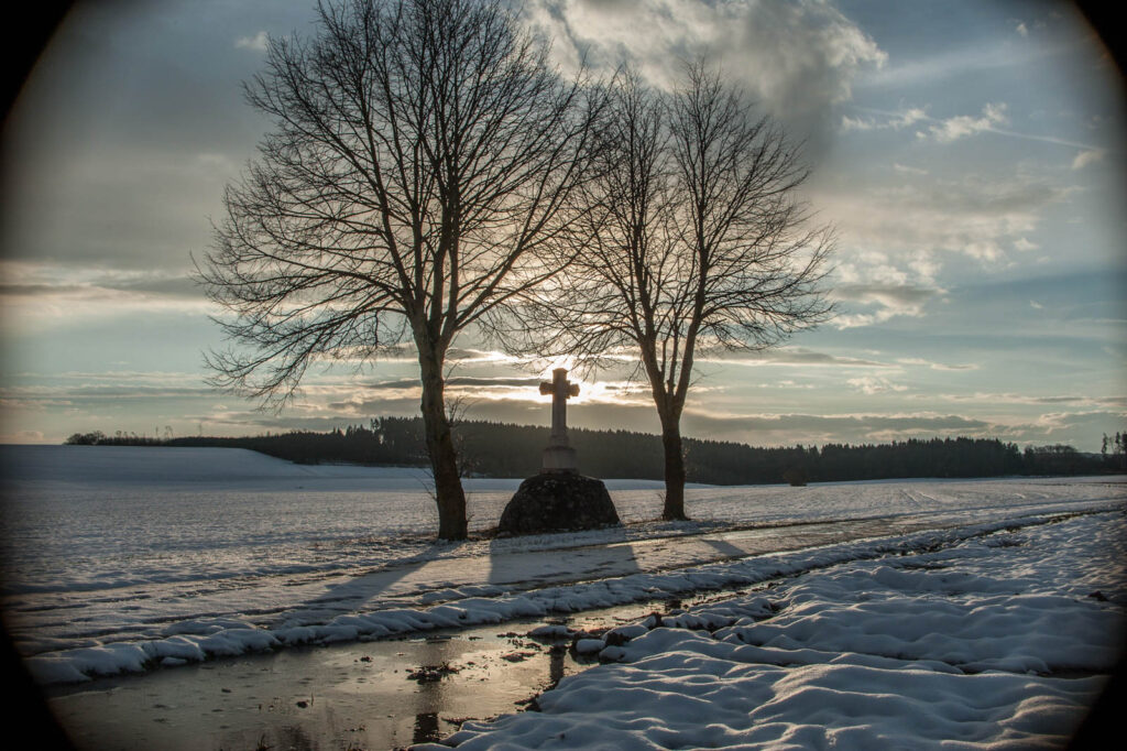 Crosslight